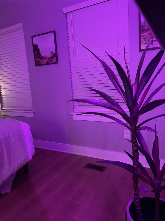Classy, Cozy, Close To Downtown Nashville Extérieur photo